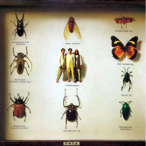 国产精品电影久久
