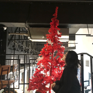 国产精品电影久久
