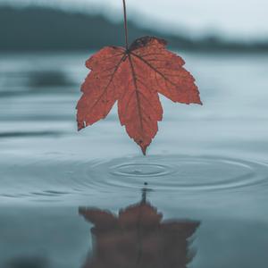 国产精品电影久久
